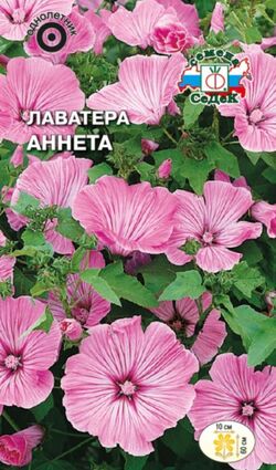 Семена лаватера Аннета карминно-розовая СЕДЕК 0,3 г